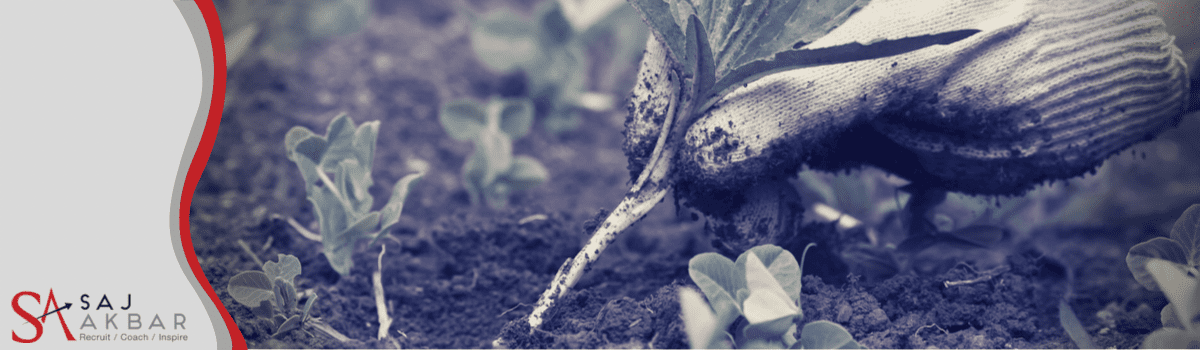 A gardener pulling out weeds from a garden